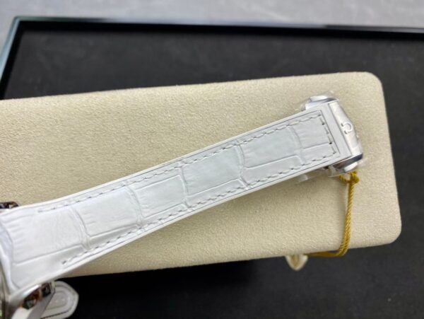 Omega Seamaster Planet Ocean